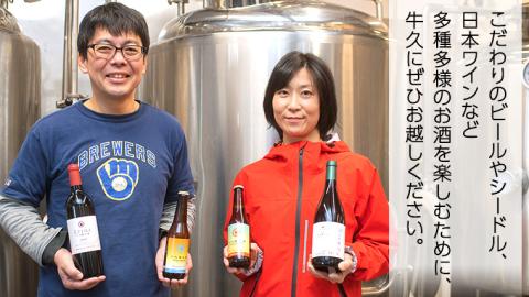 【 3ヶ月連続 】 赤ワイン おまかせ 定期便 2本セット 飲み比べ 茨城県産 牛久醸造場 厳選 750ml × 2本 お酒 ワイン ワイン好き 初心者 上級者 贈り物 ギフト 詰め合わせ