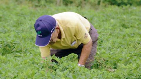 からいり 落花生 2種 3袋 詰合せ ( 化粧箱入 ) 野菜 豆 特産品 農園 自家栽培 ピーナッツ ピーナツ 源太豆 ふる里の味 おつまみ ビールのお供 国産 茨城 ギフト 贈答用