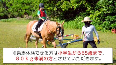 乗馬体験１回コース 乗馬 レッスン 見学 初心者 日帰り 体験 馬 チケット