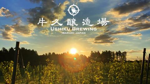 2年連続！《 ジャパン・グレートビア・アワーズ 受賞 》 クラフトビール 2種 計 6本 セット  飲み比べ 茨城県産 牛久醸造場 330ml × 6本 ビール 地ビール クラフト お酒 贈り物