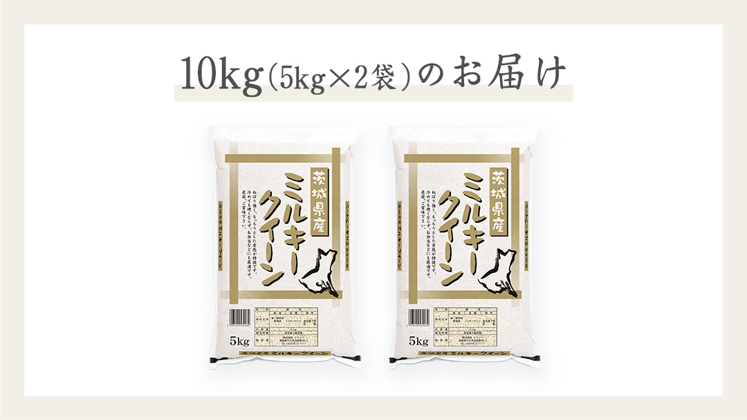 《 令和7年産 》茨城県産 ミルキークイーン 10kg ( 5kg × 2袋 )  米 コメ こめ 五ツ星 高品質 白米 精米 お弁当 期間限定