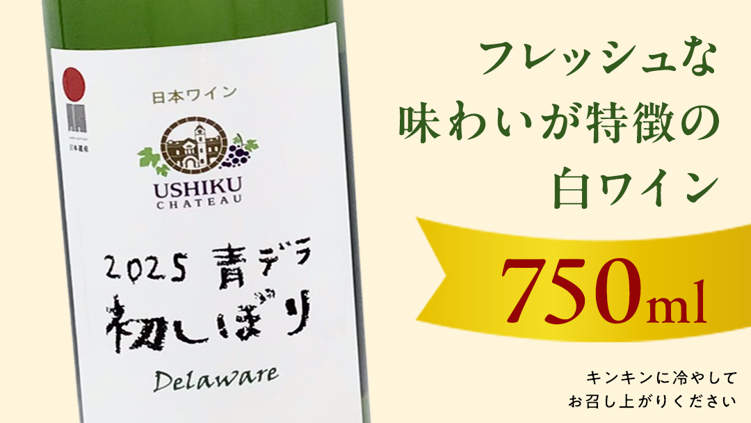 青デラ 750ml ワイン 白ワイン 白 酒 牛久シャトー デラウエア