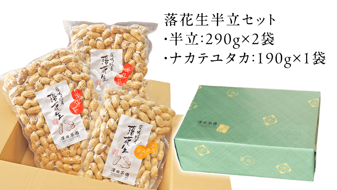 牛久市産 落花生 半立セット ピーナッツ ピーナツ ナカテユタカ 中手豊 半立 はんだち 食べ比べ 農園 自家栽培 有機栽培 おやつ お菓子 おつまみ お取り寄せ 詰め合わせ セット お土産 贈り物