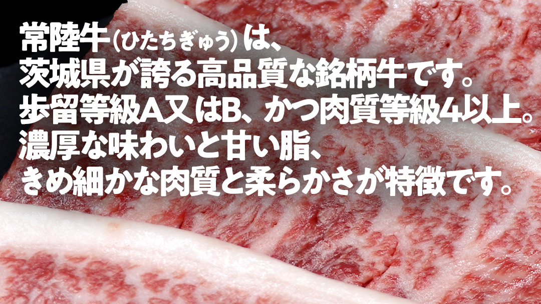 【 常陸牛100% 】 ハンバーグ 10個 ( ソース付 )( 茨城県共通返礼品 ) 牛肉100% 国産 ブランド牛 常陸牛 牛肉 肉 牛 お肉 黒毛和牛 和牛 おかず 惣菜 弁当 小分け 個包装 冷凍 時短 グルメ お取り寄せ お土産 贈り物 贈答 ギフト 日持ち 茨城