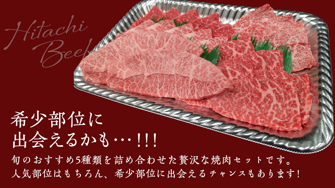 【常陸牛】焼肉セット 400g (茨城県共通返礼品) 国産 牛肉 肉 お肉 焼き肉 バーベキュー BBQ カメノコ サンカクバラ ミスジ イチボ ササミ ザブトン シンシン カイノミ ボンジョー タテバラ 三角バラ サイコロステーキ サーロイン リブロース ランプ ウワミスジ ヒレ