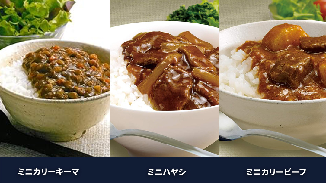 新宿 中村屋 レトルト 食べ比べ セット ( Aセット 12種 ) レトルトカレー カレー レトルト食品 常温 詰め合わせ 時短 レンジ 調理 人気 洋食 ビーフカレー 数量限定 贈答 保存 保存食 ストック 非常用 非常食 老舗 レンチン レンジ