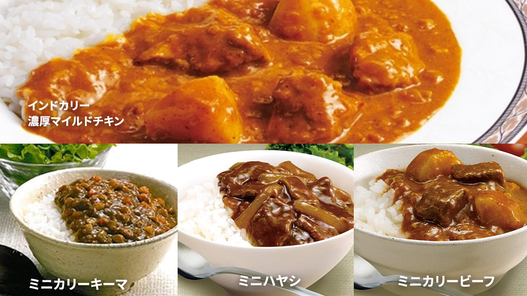 新宿 中村屋 レトルト カリー 食べ比べ セット 10種 13個入 人気 詰合せ 洋食 時短 カレー インドカレー ビーフ キーマ チキン バター チキン ハヤシ ベジタブル 野菜 長期保存 災害用 レンチン レンジ