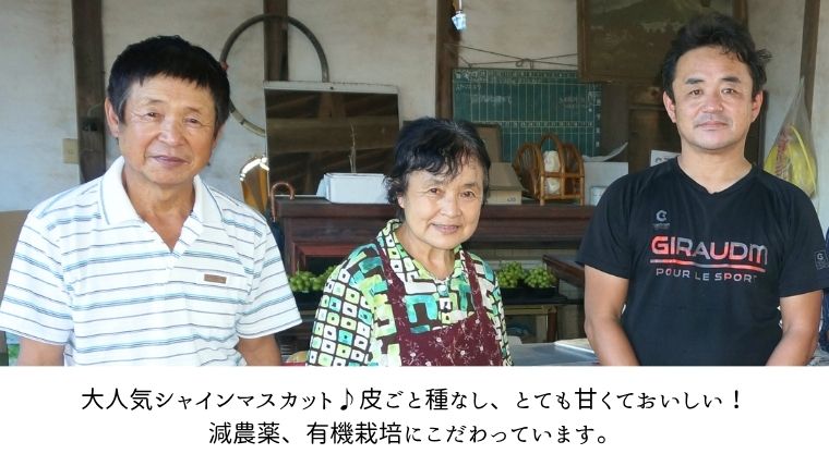 《 先行予約 》 シャインマスカット 2～3房 ( 約 1.5kg )  贈答用 【2026年8月下旬頃発送開始】 ( 共通返礼品：下妻市 )フルーツ 果物 マスカット ぶどう 葡萄 ブドウ 旬 国産 産地直送 化粧箱 ギフト