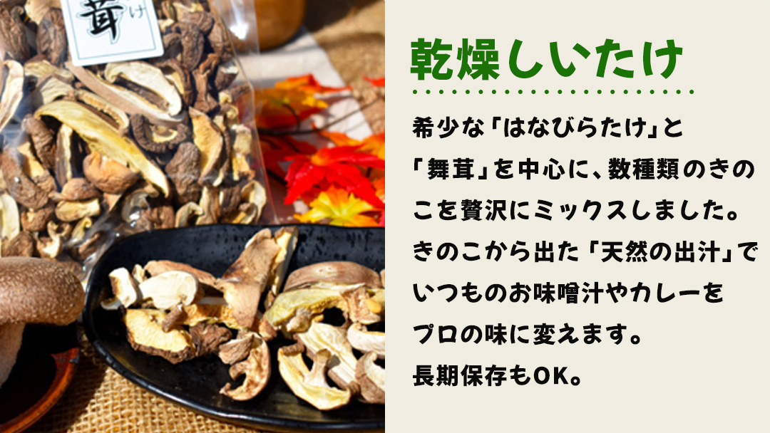 きのこ の 加工品 詰め合わせ 5点セット （茨城県共通返礼品：城里町） きのこミックス 野菜 水煮 国産 きのこ ご飯の素 国産 うどん そばの具 乾燥 しいたけ 乾燥 きくらげ