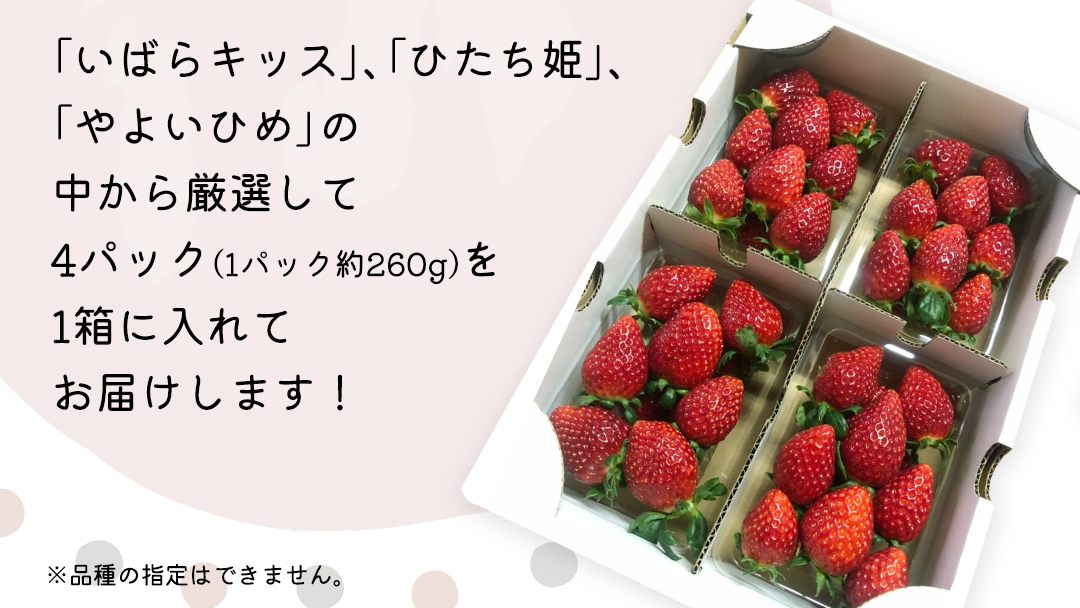 【 先行予約 】いちご 3種 食べ比べセット（4パック×1箱)【 2026年1月から発送開始 】 ( 茨城県共通返礼品 : 常陸太田市 ) 約 260g × 4パック いばらキッス ひたち姫 やよいひめ から 厳選して お届け 数量限定 果物 くだもの フルーツ 苺 イチゴ 期間限定