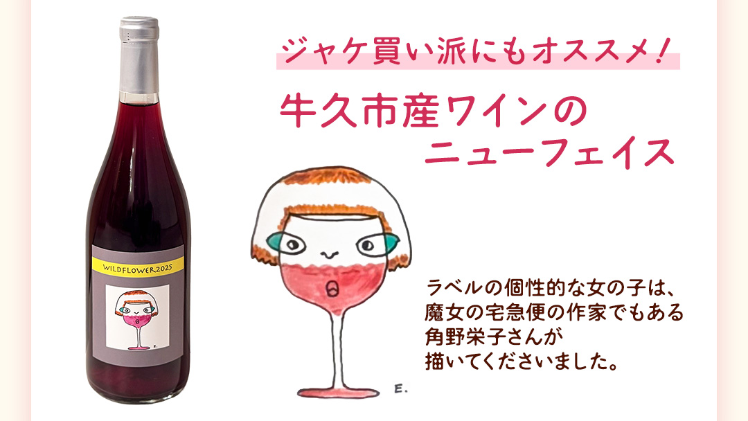 歩wine wild flower2025 ( 750ml ) 日本ワイン 牛久市 ブドウ 自然派ワイン 無濾過 ファーストヴィンテージ マスカット・ベーリーA ビジュノワール メルロー バルベーラ ワイン 酒 赤ワイン わいん
