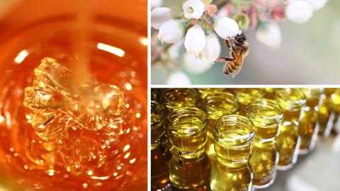 【 数量限定 】山桜 はちみつ と春の 田舎はちみつ の 3種 ギフト セット [ B3山桜 280g ]（ 茨城県共通返礼品： 五霞町 ） 生ハチミツ 蜂蜜 非加熱 茨城県産 国産 天然 純粋