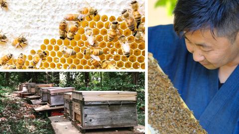 【 数量限定 】田舎はちみつ 7種 ぷちギフト セット [ 結蜜 Musubi-S7 25g ]（茨城県共通返礼品：五霞町） 季節で移ろう 生ハチミツ 蜂蜜 非加熱 茨城県産 国産 天然 純粋 贈答用