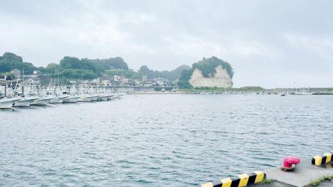 しらす干し 天日乾燥 800g(400g×2)（共通返礼品：茨城県北茨城市） 国産 新鮮 厳選 ビール おつまみ ご飯のお供 サラダ 魚介 子ども 健康 カルシウム 小分け