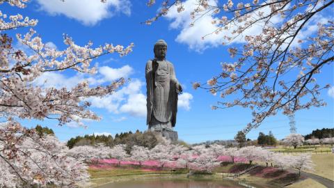 地上20ｍ 牛久大仏 足元 お身拭い 体験 ツアー ※ 平日限定 ※ （ 5名様まで ） 貸切 参加券 体験チケット 観光 ふるさと納税限定