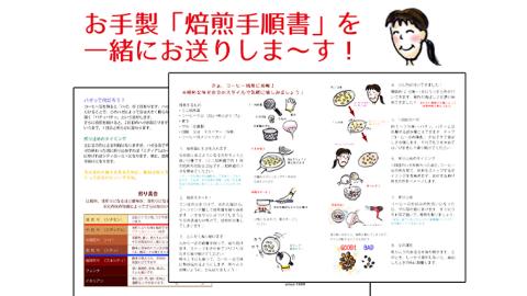 コーヒー 自家焙煎 セット コーヒー豆 200ｇ 2種 × 100ｇ コーヒー ブレンド 生豆 焙煎 初心者 お手軽