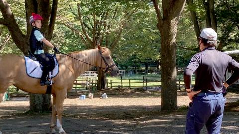 乗馬体験１回コース 乗馬 レッスン 見学 初心者 日帰り 体験 馬 チケット