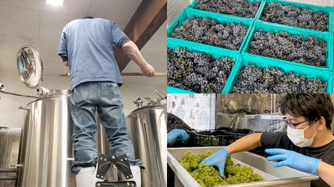 【 数量限定 】エピヌ カベルネソーヴィニヨン ＆ メルロ 2021 茨城県産 牛久醸造場 日本ワイン 赤ワイン 750ml × 1本 やや辛口 ミディアムボディ お酒 贈り物 ドライプルーン