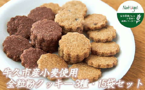 牛久市産 小麦 全粒粉 の クッキー 15袋セット メープル ココア チョコチップ 甘い おいしい 美味しい スイーツ おうちカフェ お菓子 おやつ お取り寄せ 詰め合わせ セット お土産 プチギフト