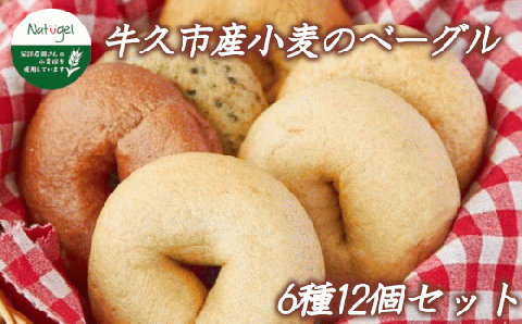 牛久市産 小麦 の ベーグル 6種・12個セット 全粒粉 シナモン レーズン ココア チョコ あずき ごま いちじく 無添加 農薬不使用 小麦 おうちカフェ お菓子 おやつ モーニング ブランチ 朝食