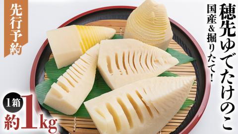 《 先行予約 》 掘りたて 穂先 ゆでたけのこ 約1kg 【 2026年 4月中旬 以降発送 】 野菜 春 旬 期間限定 数量限定 国産 産地直送 箱 真空パック 個包装 茹で 筍 タケノコ 竹の子