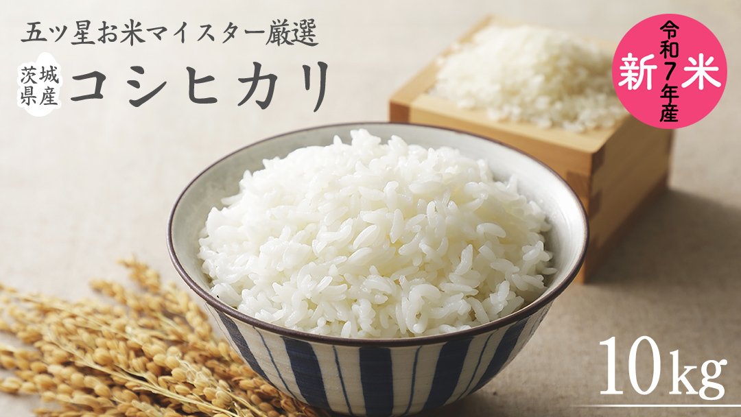《 令和7年産 》 茨城県産 コシヒカリ 10kg ( 5kg × 2袋 ) 期間限定 こしひかり 米 コメ こめ 五ツ星 高品質 白米 精米 時短 単一米