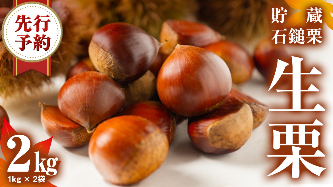 《 先行予約 》 栗 2kg （ 1kg × 2袋 ） 茨城県産 貯蔵 石鎚栗 生栗 くり クリ マロン 栗ご飯 栗ごはん 果物 フルーツ 冬 正月 おせち いしづち JA全農いばらき JA 【 2026年1月20日以降発送開始 】