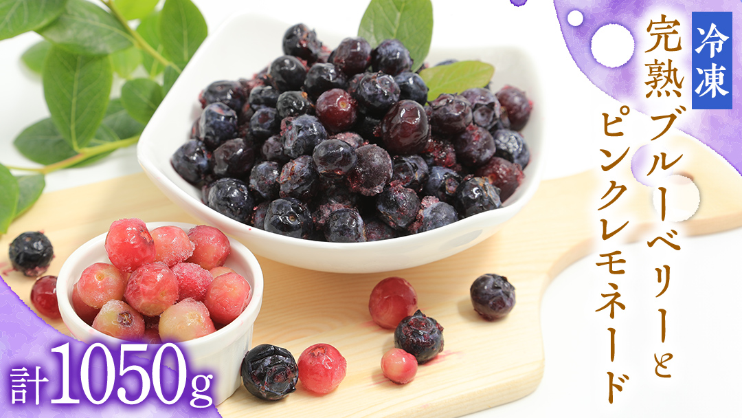 【 数量限定 】 冷凍 完熟 ブルーベリー 700g と ピンクレモネード 350g の 詰合せ セット 食べ比べ (1パックあたり 350g ) ベリー 甘い 甘酸っぱい 完熟 新鮮 フルーツ 果物 くだもの 贈り物 贈答 ギフト 国産 茨城 農園 産地直送