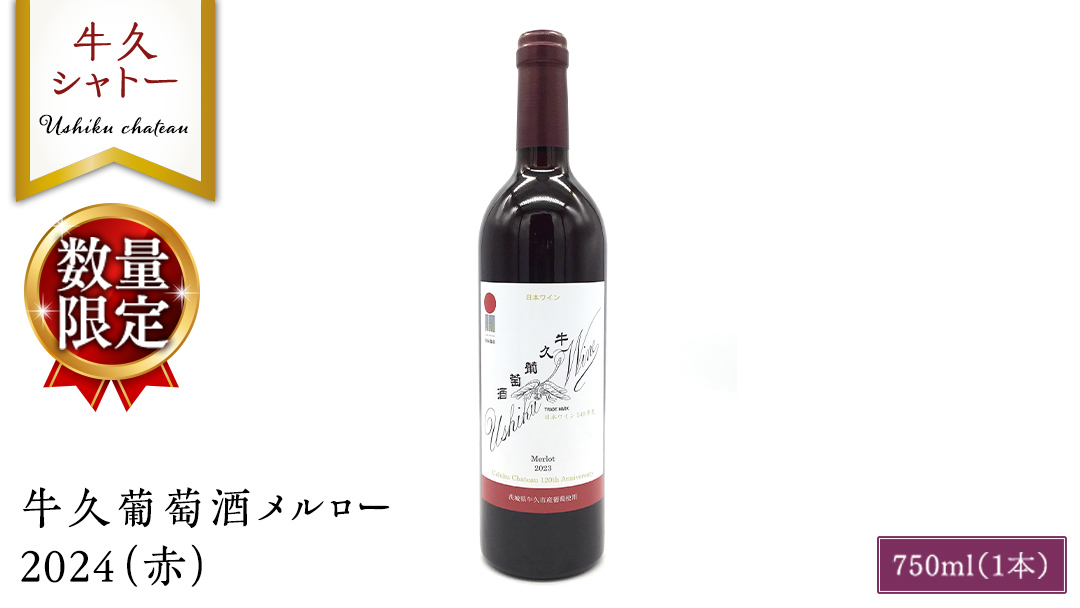 【 数量限定 】 牛久葡萄酒メルロー 2024（赤） 750ml 1本 お酒 牛久シャトー ワイナリー 赤ワイン ぶどう 国産ぶどう 葡萄 贈り物 ライトボディ 日本ワイン 茨城農芸学院 わいん