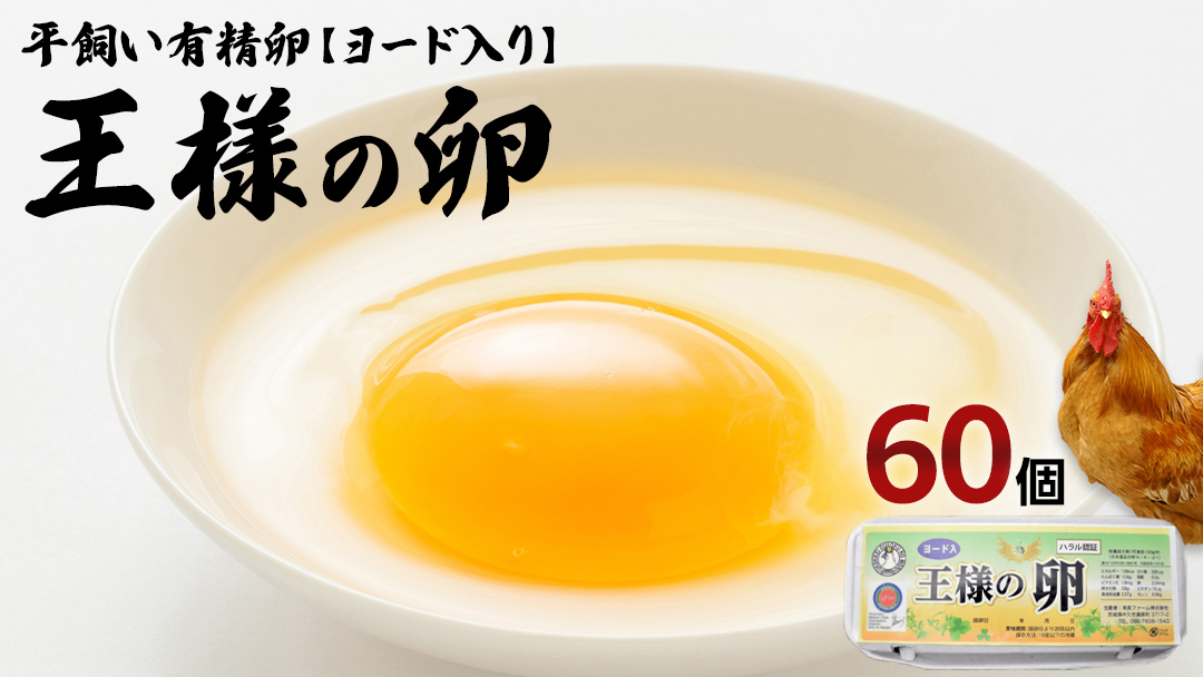 王様の卵 ヨード入 60個 (55個+割れ保障5個 ) 平飼い 地鶏 有精卵 濃厚 卵 こだわり卵 たまご