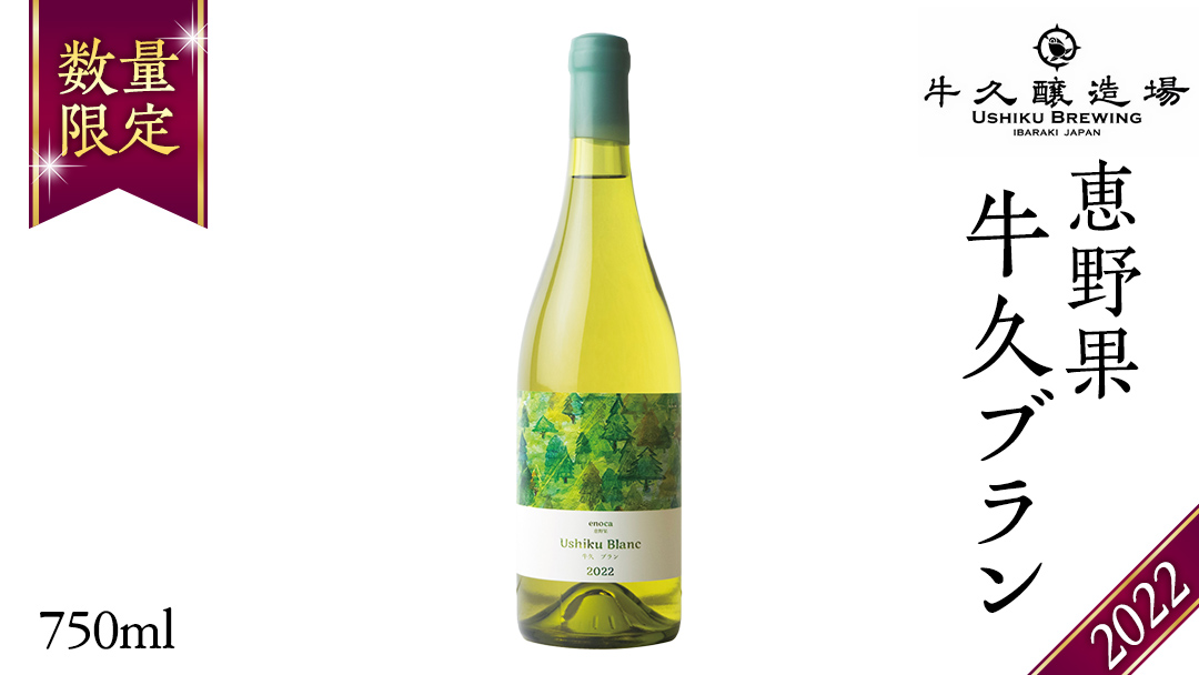 恵野果 牛久ブラン 2022 750ml×1本 茨城県産 牛久醸造場 日本ワイン ワイン 白ワイン 750ml ミディアムボディ お酒 贈り物 葡萄 ぶどう