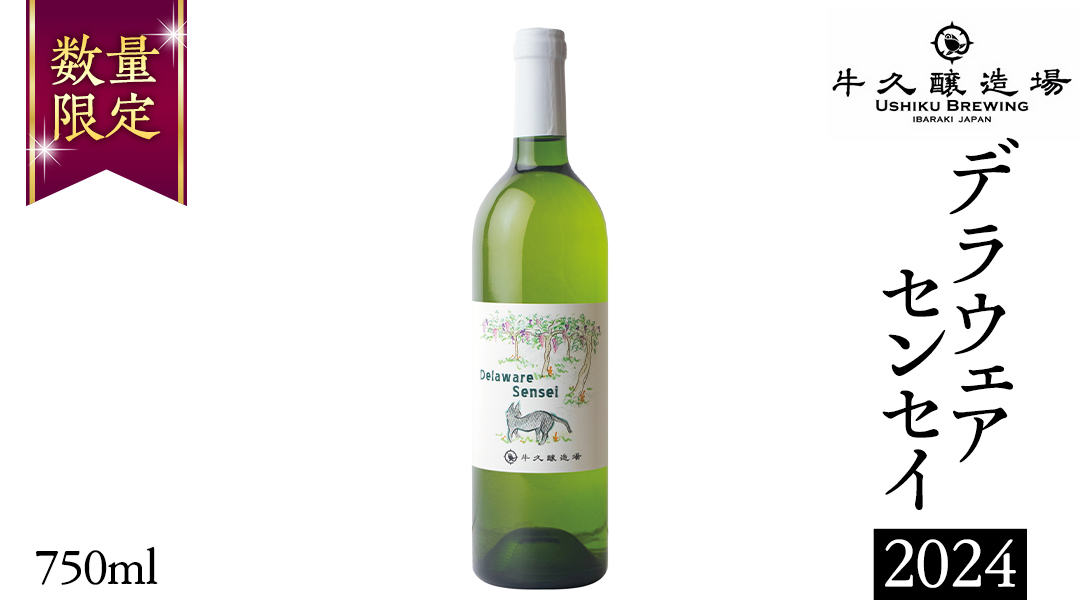デラウェアセンセイ Delaware Sensei 2024 750ml×1本 茨城県産 牛久醸造場 日本ワイン ワイン 白ワイン 750ml ミディアムボディ お酒 贈り物 葡萄 ぶどう