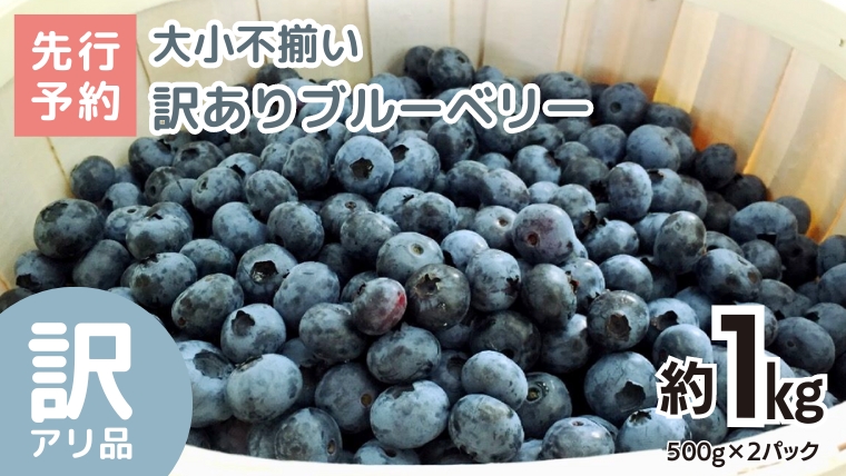 《 先行予約 》ブルーベリー 大小不揃い 約 1kg【2026年6月中旬頃より発送開始】 訳アリ B品 お得 甘い 甘酸っぱい 産地直送 おやつ デザート ジャム スムージー