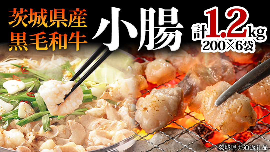 【茨城県産】 黒毛和牛 もつ鍋 焼肉用 小腸 1.2kg（200g×6パック） (茨城県共通返礼品) 国産 牛肉 肉 お肉 ホルモン もつ 焼肉