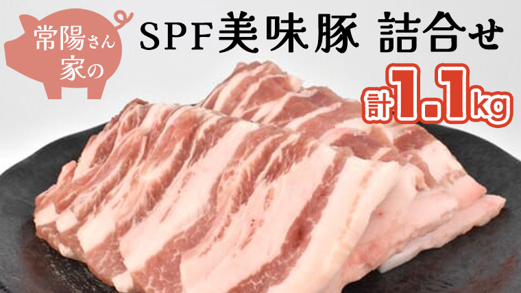 常陽さん家の SPF 美味豚 詰合せ 計 1.1kg 食べ比べ セット 豚肉 ロース しゃぶしゃぶ用 300g×2 バラ焼き肉用 500g 計 1.1kg 国産 ブランド豚 銘柄豚 茨城 SPF認定 農場 焼肉 焼き肉 豚ロース 豚バラ ロース バラ お肉