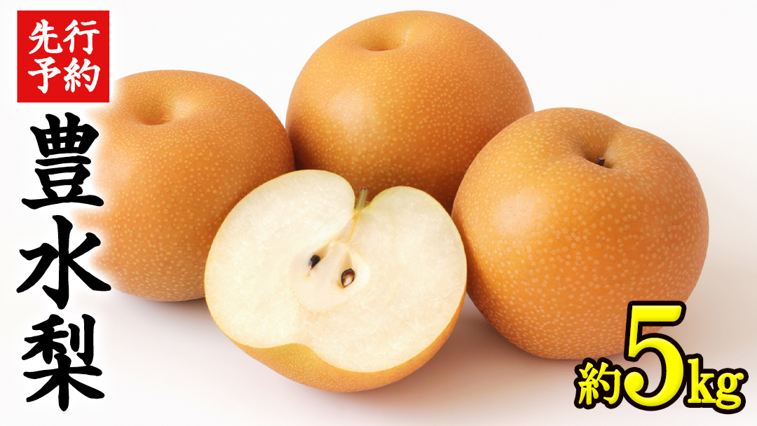 《 先行予約 》 茨城県産 梨 豊水 （約 5kg）【 2025年 9月上旬頃より発送開始 】 梨 なし 果物 フルーツ 新鮮 旬 期間限定 甘い 国産