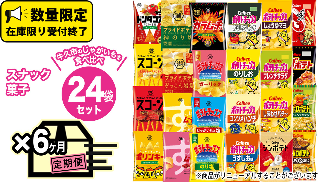 【 6ヶ月 連続 定期便 】 カルビー 湖池屋 人気 24種 詰め合わせ お楽しみ 24袋 スナック菓子 セット カルビー 湖池屋 ポテトチップス ポテチ お菓子 おかし 大量 スナック おつまみ