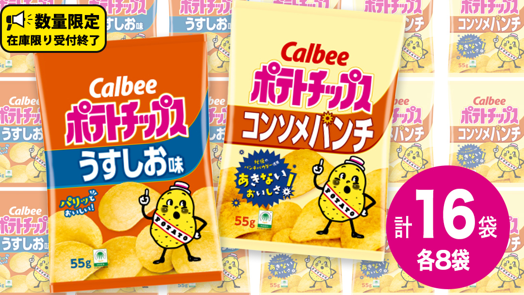 カルビー ポテトチップス レギュラー サイズ 2種類 詰め合わせ 16袋（ うすしお ／ コンソメ ） ポテチ お菓子 おかし 大量 スナック おつまみ ジャガイモ じゃがいも まとめ買い