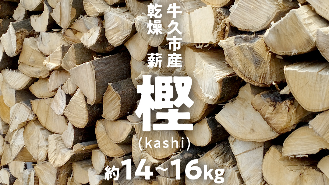 牛久市産 乾燥 薪 樫 ( かし ) 約14kg～16kg 天然木 マキ 乾燥薪 広葉樹 キャンプ アウトドア 焚火 焚き火 薪ストーブ 暖炉 たき火 野外 屋外 バーベキュー薪 ピザ窯の薪 グリル焼