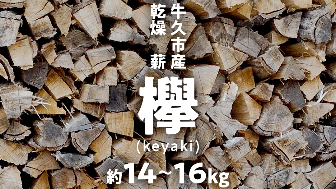 牛久市産 乾燥 薪 欅 ( けやき ) 約14kg～16kg 天然木 マキ 乾燥薪 広葉樹 キャンプ アウトドア 焚火 焚き火 薪ストーブ 暖炉 たき火 野外 屋外 バーベキュー薪 ピザ窯の薪 グリル焼