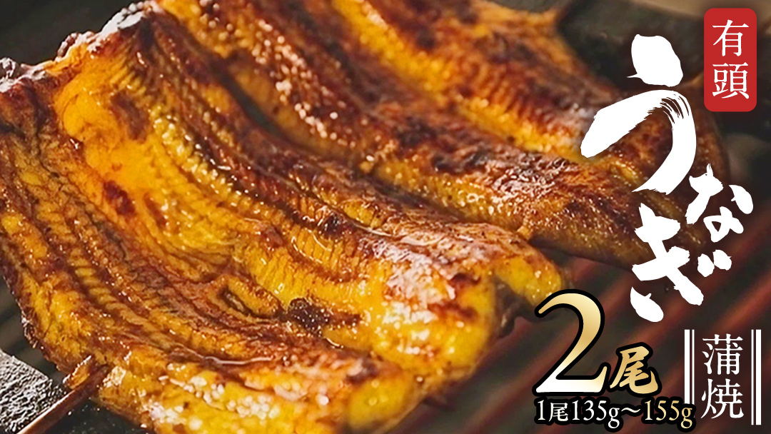 鹿児島県産 有頭 鰻 蒲焼 × 2尾 （ 1尾 135g ～ 155g 以上） うなぎ ウナギ 土用丑の日 家庭用 贅沢 国産 旬 敬老の日 タレ 山椒 付 縁起