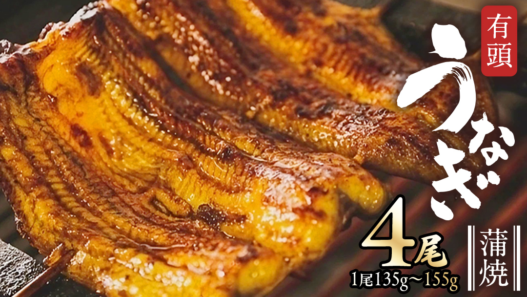 鹿児島県産 有頭 鰻 蒲焼 × 4尾 （ 1尾 135g ～ 155g 以上） うなぎ ウナギ 土用丑の日 家庭用 贅沢 国産 旬 敬老の日 タレ 山椒 付 縁起