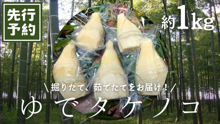 《 先行予約 》新鮮な ゆでタケノコ 約1kg 竹の子 1キロ 筍 たけのこ 水煮 真空パック 国産 たけのこご飯 【2025年4月上旬以降発送】