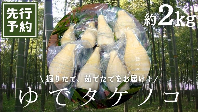 《 先行予約 》 新鮮な ゆでタケノコ 約2kg 竹の子 2キロ 筍 たけのこ 水煮 真空パック 国産 たけのこご飯 【2025年4月上旬以降発送】