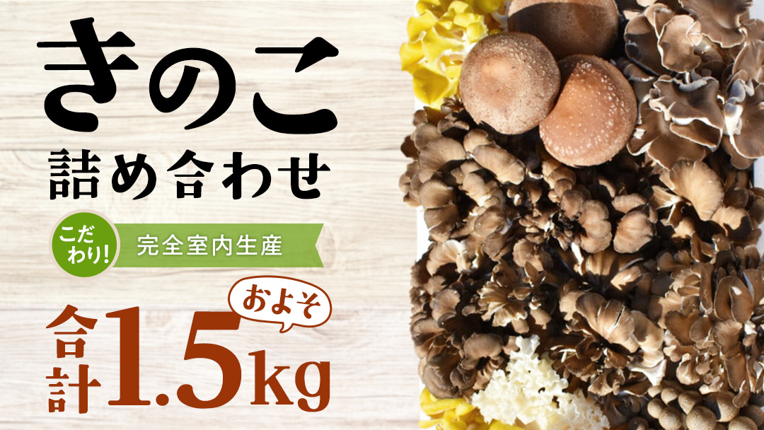 きのこ の 詰め合わせ Mサイズ ( 約1.5kg ) （茨城県共通返礼品：城里町） キノコ セット 野菜 低カロリー ダイエット デトックス バラエティ セット 新鮮
