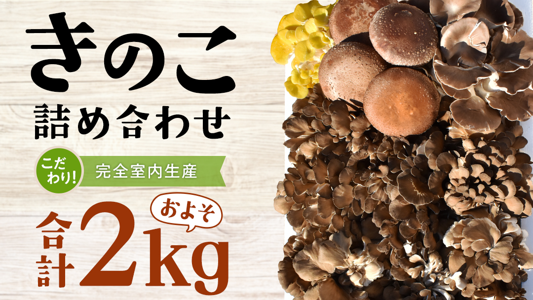 きのこ の 詰め合わせ Lサイズ( 約2kg ) （茨城県共通返礼品：城里町） キノコ セット 野菜 低カロリー ダイエット デトックス バラエティ セット 新鮮
