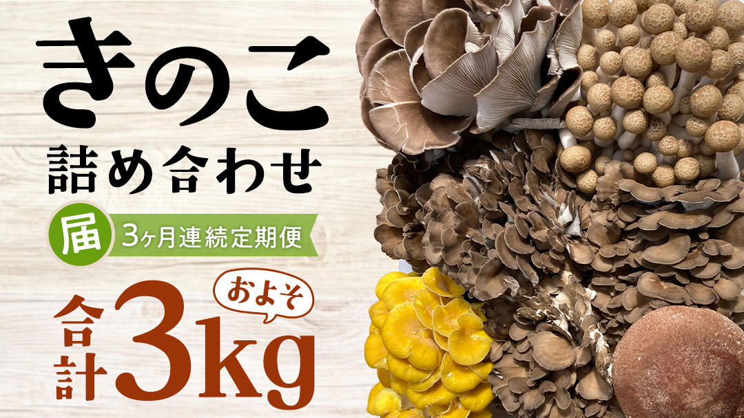 【 3ヶ月連続定期便 】きのこ の 詰め合わせ Sサイズ ( 約1kg ) （茨城県共通返礼品：城里町） キノコ セット 野菜 低カロリー ダイエット デトックス バラエティ セット 新鮮