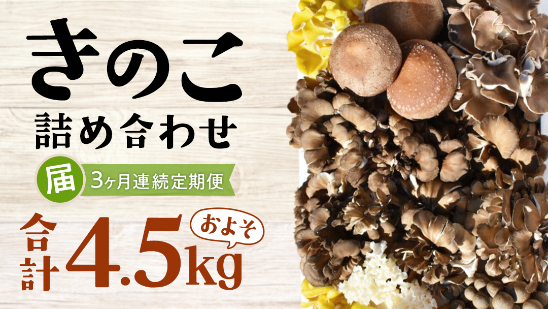 【 3ヶ月連続定期便 】きのこ の詰め合わせ Mサイズ ( 約1.5kg ) （茨城県共通返礼品：城里町） キノコ セット 野菜 低カロリー ダイエット デトックス バラエティ セット 新鮮