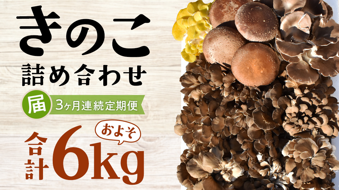 【 3ヶ月連続定期便 】きのこ の 詰め合わせ Lサイズ ( 約2kg ) （茨城県共通返礼品：城里町） キノコ セット 野菜 低カロリー ダイエット デトックス バラエティ セット 新鮮