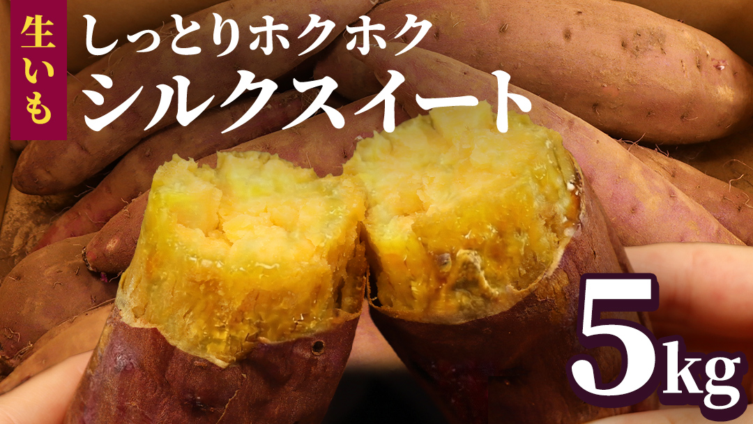 さつまいも 【 シルクスイート 】 5kg ( 箱込 ) サツマイモ さつま芋 芋 いも 野菜 焼き芋 スイーツ おやつ 国産